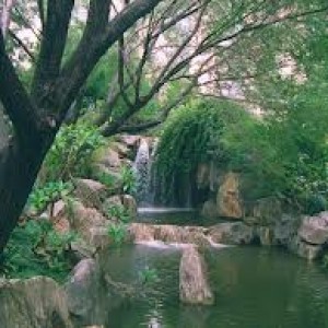 Magnificent Gardens