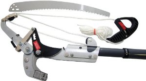 tree tools