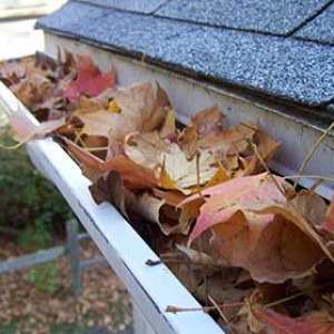 gutter-cleaning-ballina-and-lennox-heads
