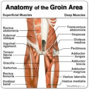 groin-injury